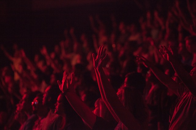 A crowd of people at a concert