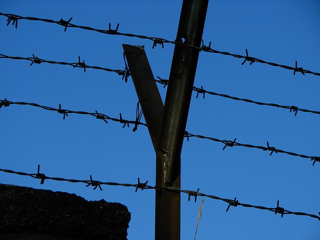A barbed wire fence