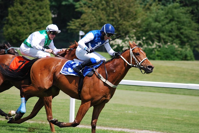 A jockey on a horse