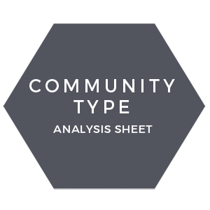 Community type analysis sheet